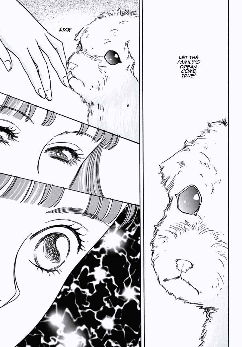 Page 41 Chapter 24 Pet Shop of Horrors
