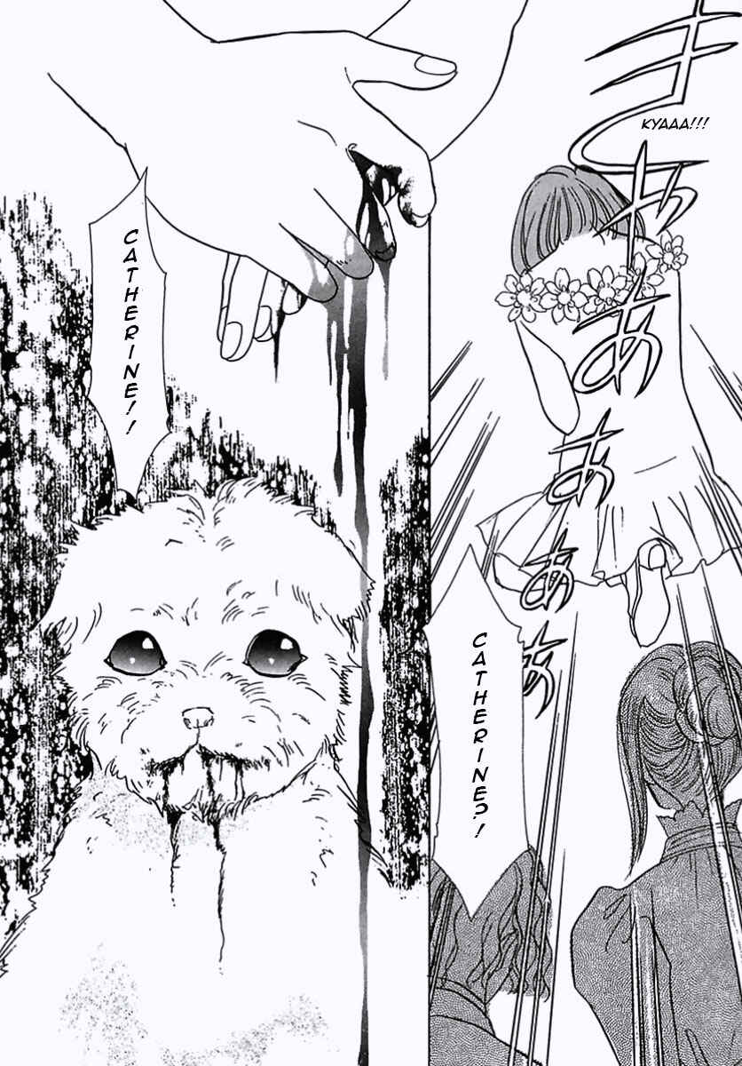 Page 42 Chapter 24 Pet Shop of Horrors