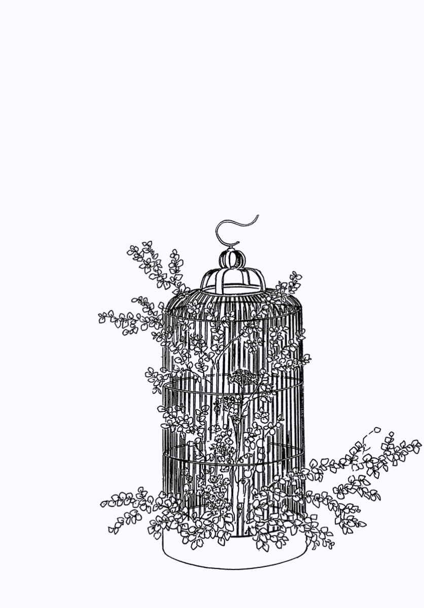 Page 47 Chapter 3 Pet Shop of Horrors