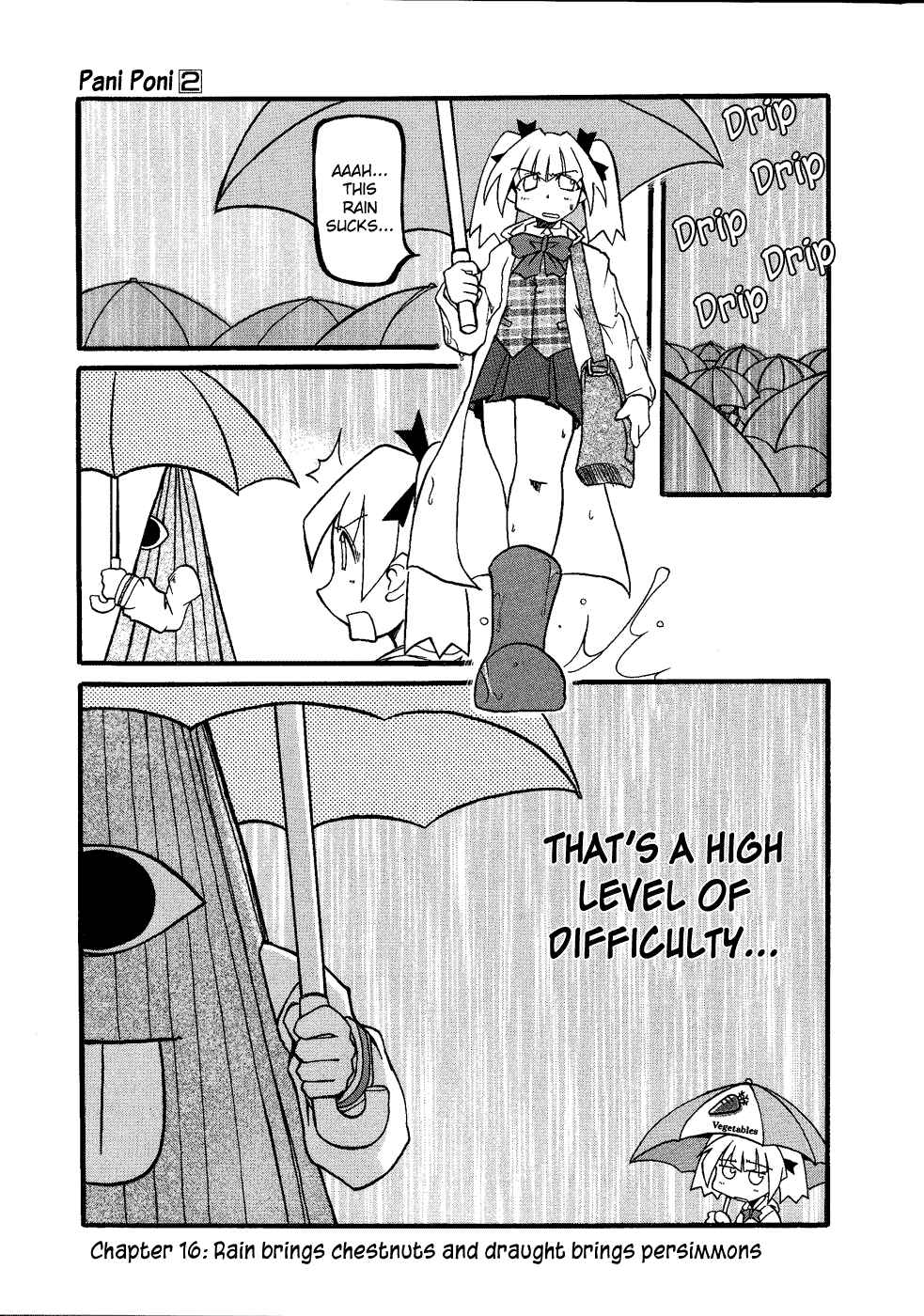 Page 2 Chapter 16 Pani Poni