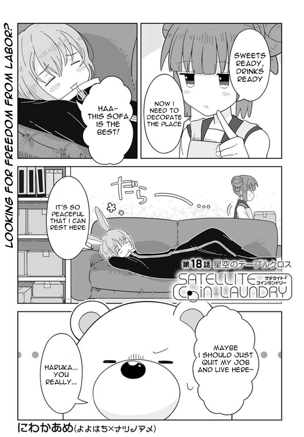 Page 1 Chapter 18 Satellite Coin Laundry