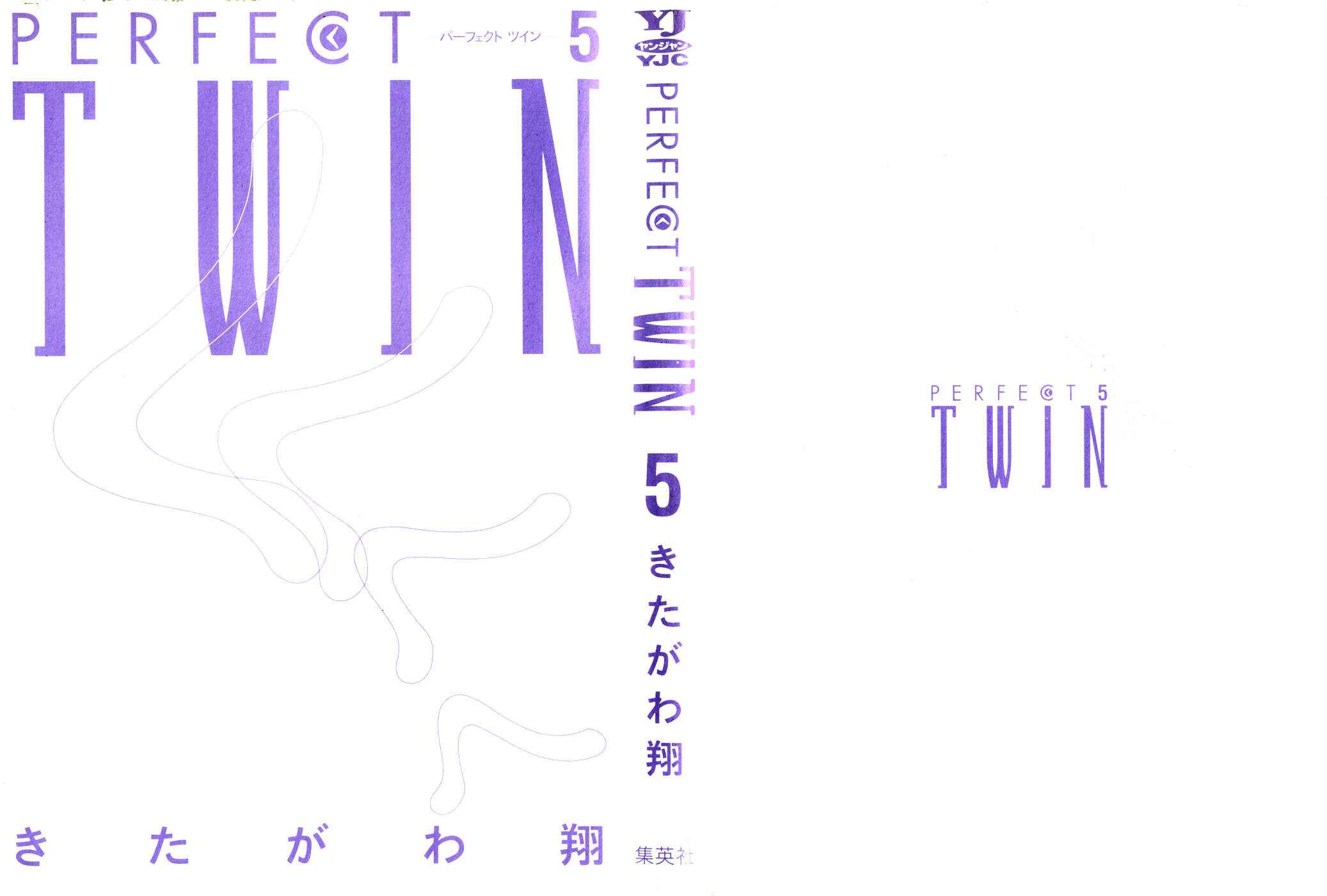 Page 3 Chapter 40 Perfect Twin