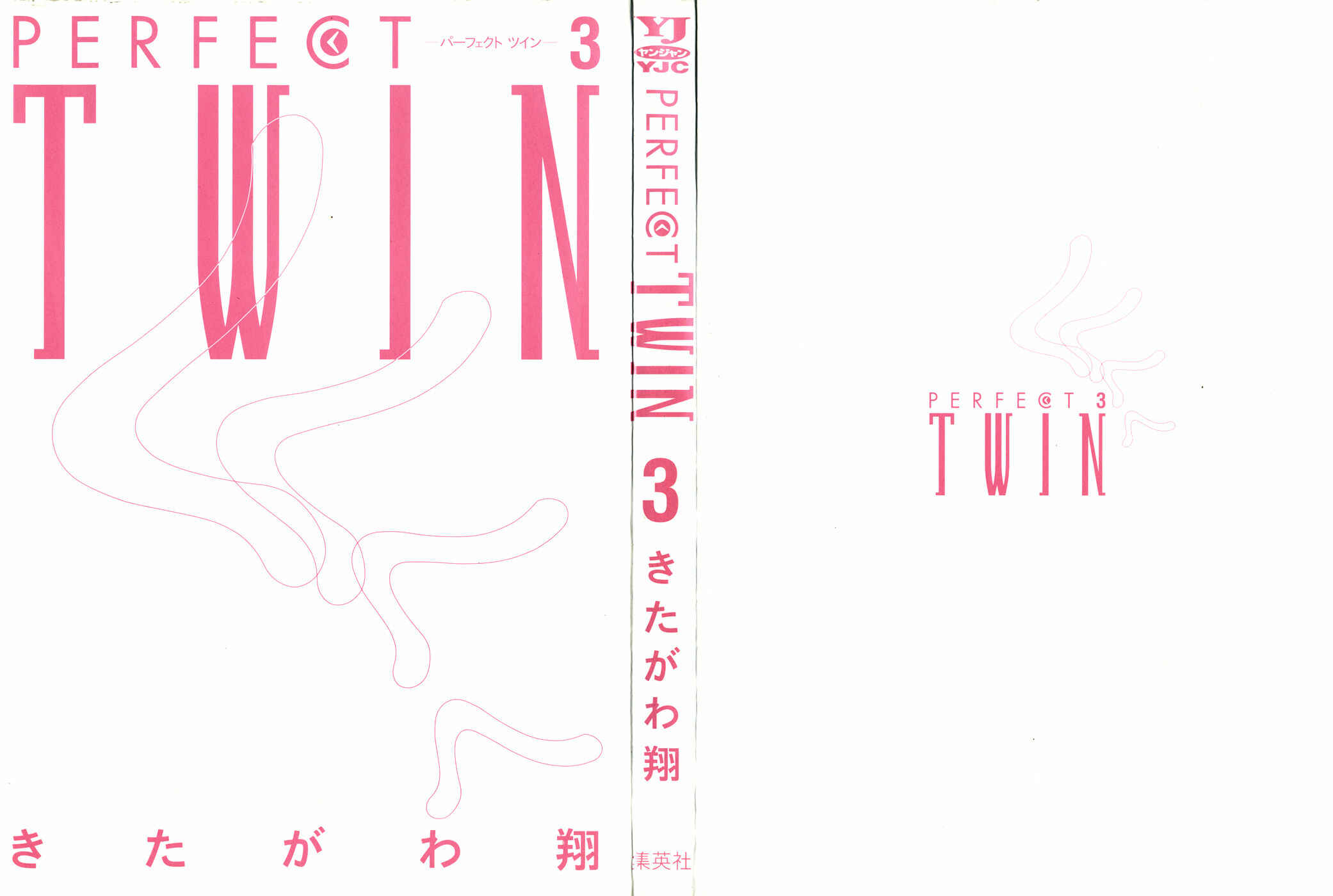 Page 3 Chapter 20 Perfect Twin