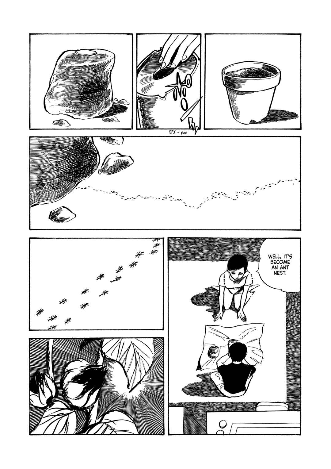 Page 2 Chapter 24 Age of Cohabitation