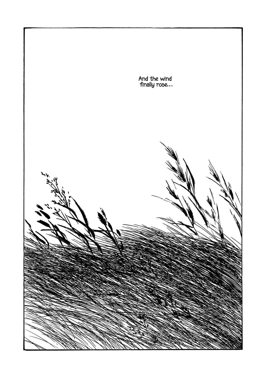 Page 22 Chapter 24 Age of Cohabitation