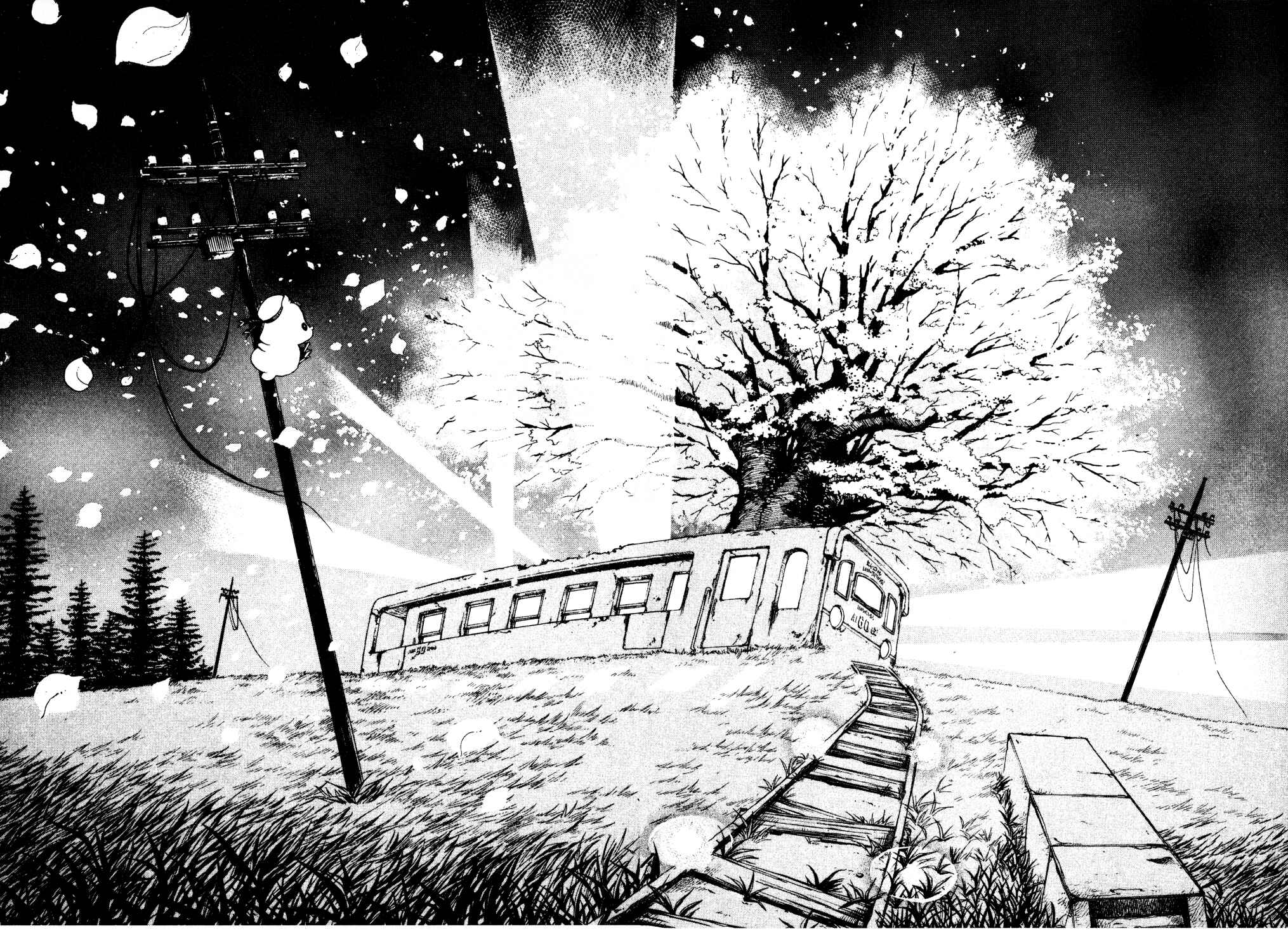 Page 28 Chapter 12 Aria