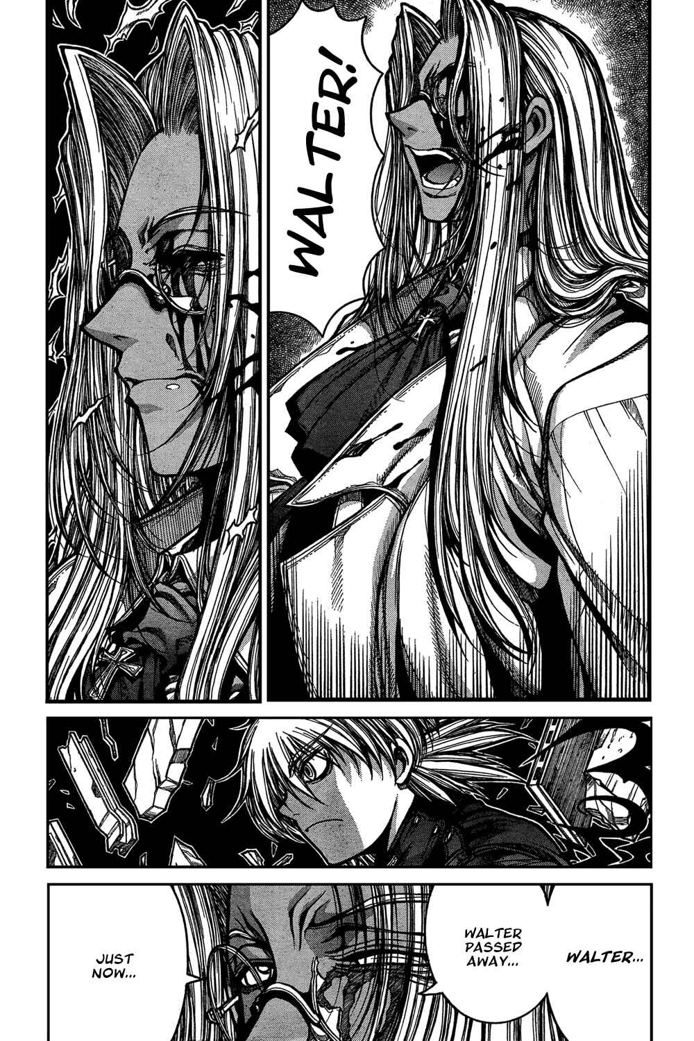 Page 13 Chapter 94 Hellsing