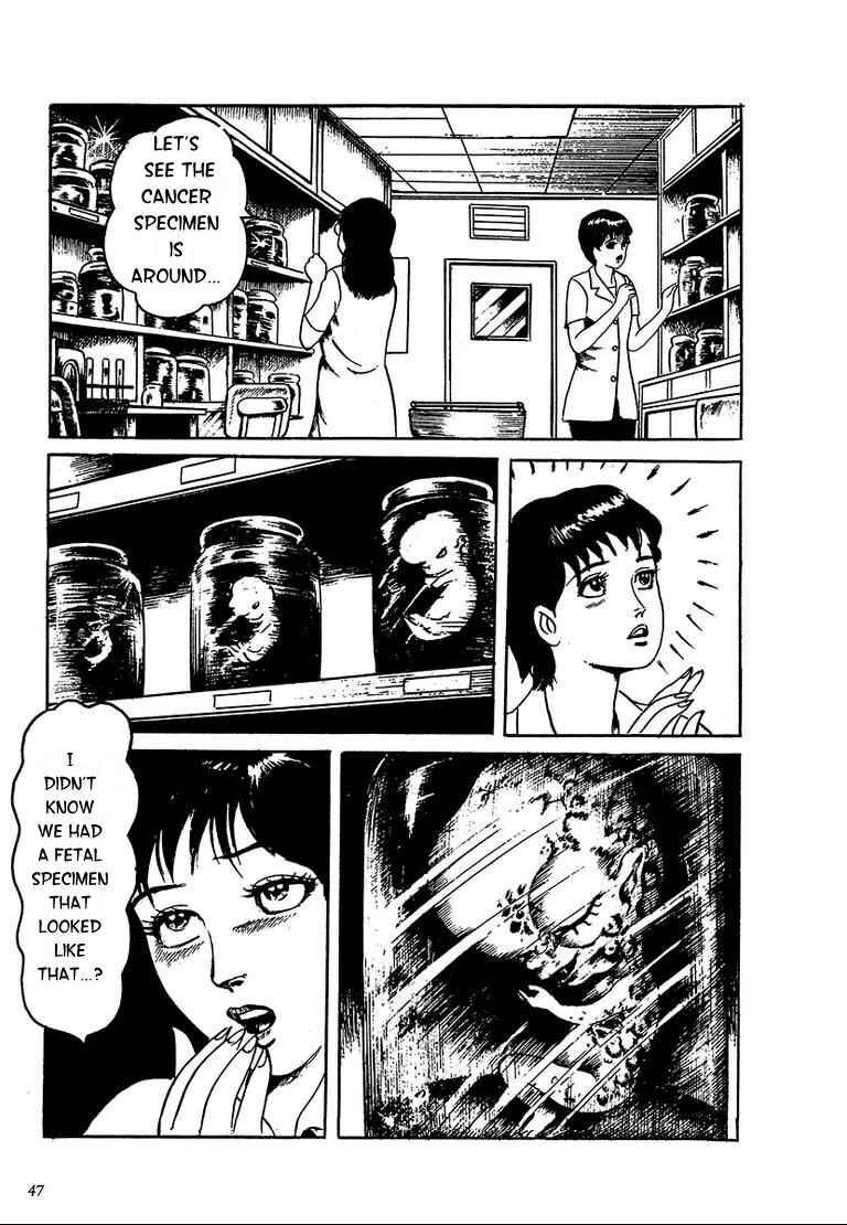 Page 4 Chapter 3 100 School Ghost Stories