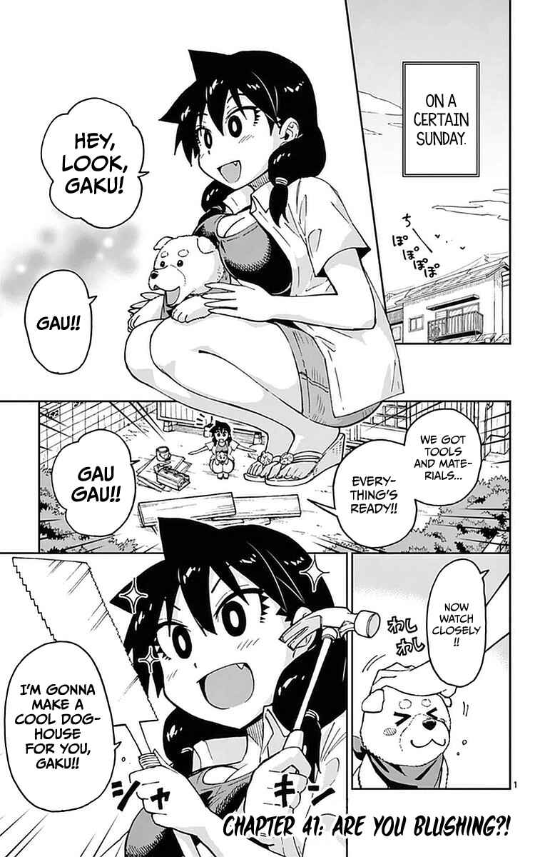 Page 1 Chapter 41 Amano Megumi wa Suki Darake!