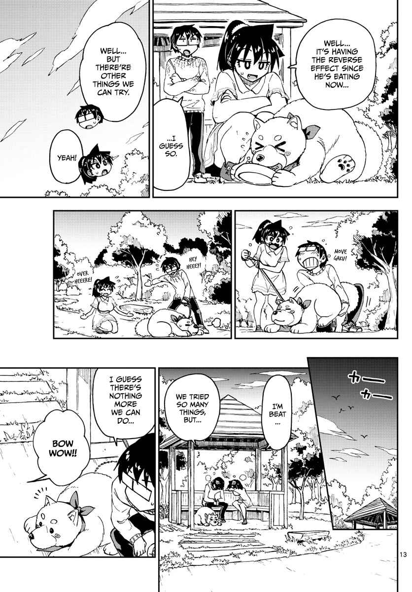 Page 13 Chapter 118 Amano Megumi wa Suki Darake!