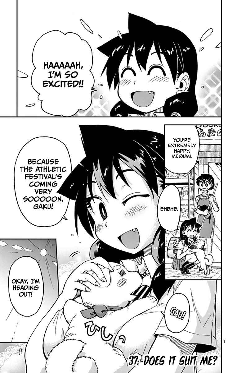 Page 1 Chapter 37 Amano Megumi wa Suki Darake!