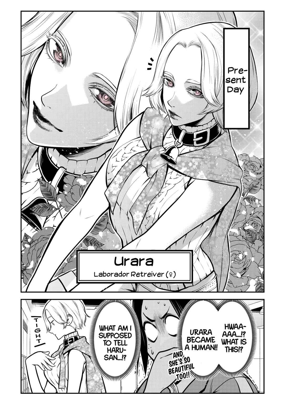 Page 8 Chapter 22 Inu ga Hito ni Naru Hanashi