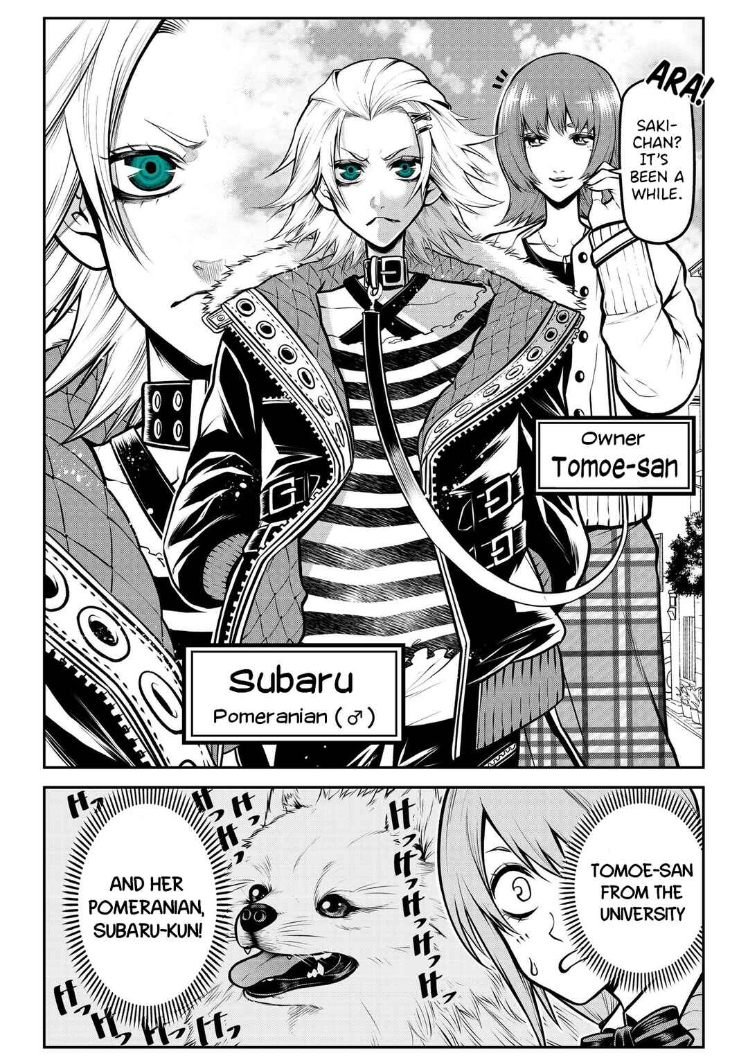Page 3 Chapter 17 Inu ga Hito ni Naru Hanashi