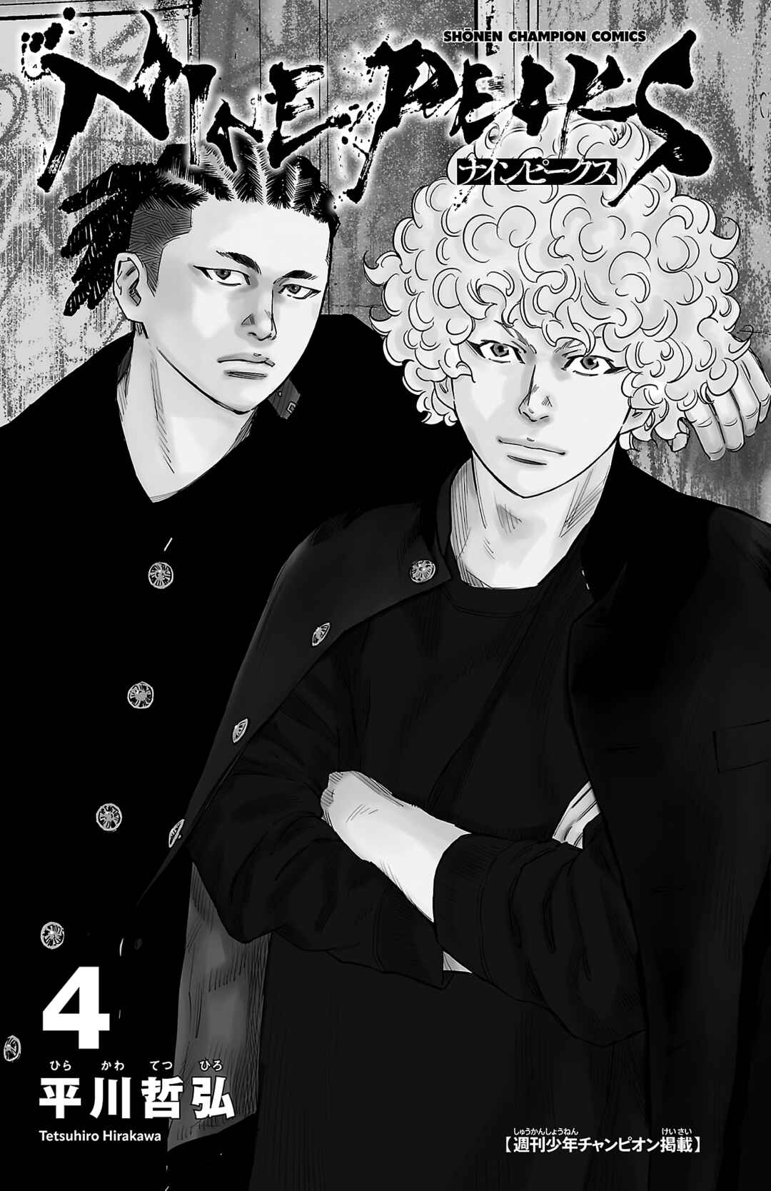 Page 4 Chapter 24 Nine Peaks