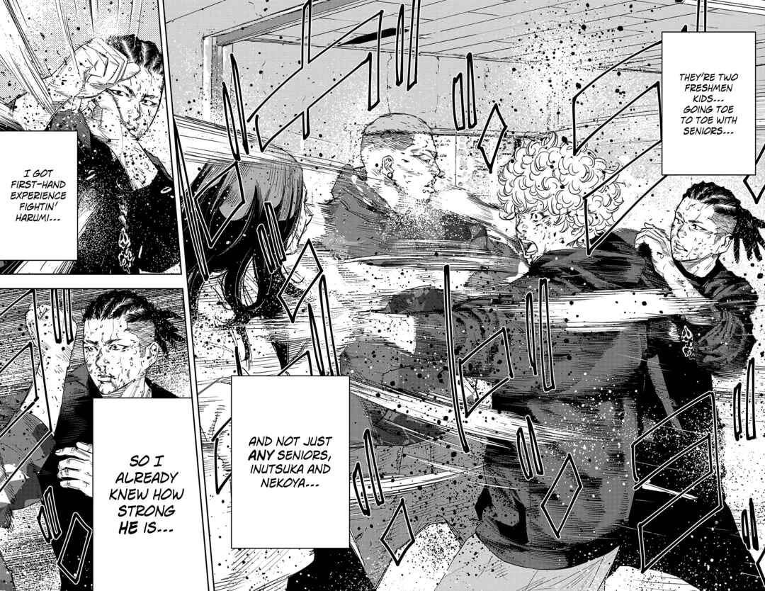 Page 13 Chapter 23 Nine Peaks