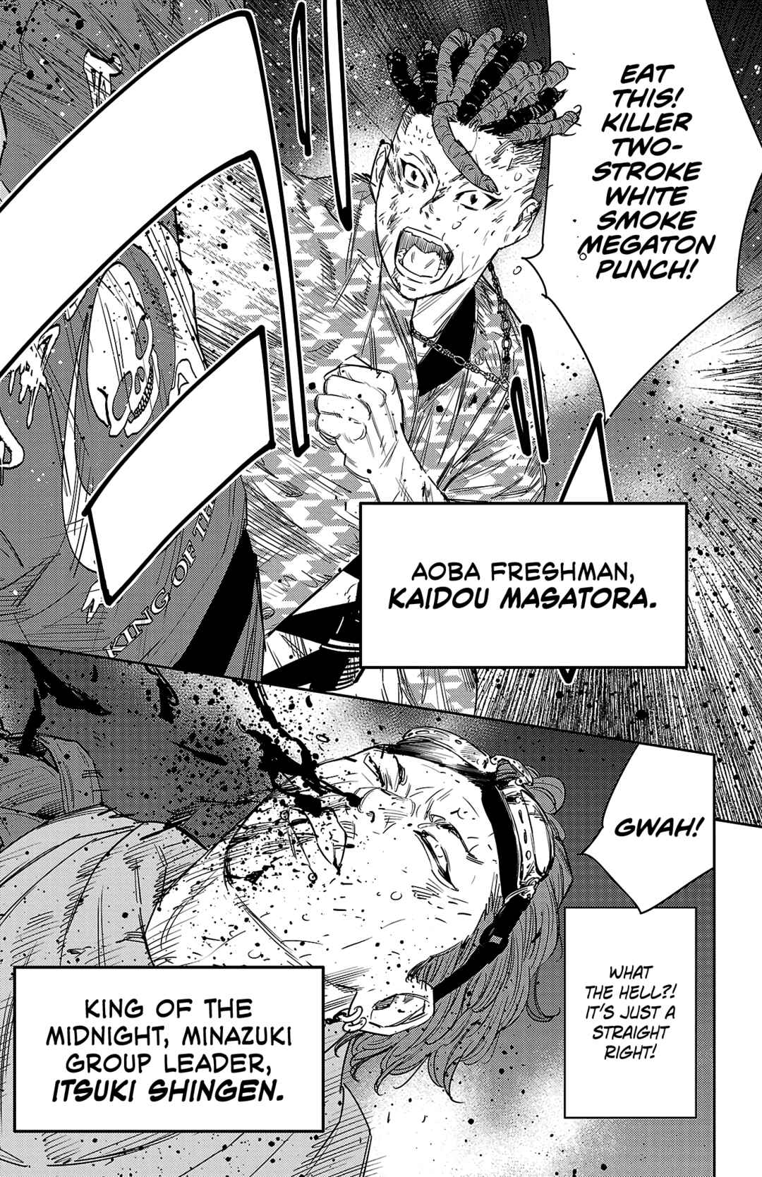 Page 13 Chapter 114 Nine Peaks