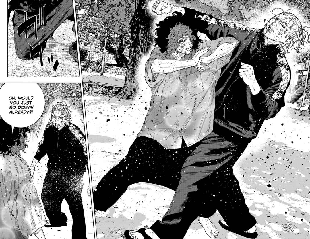 Page 11 Chapter 25 Nine Peaks