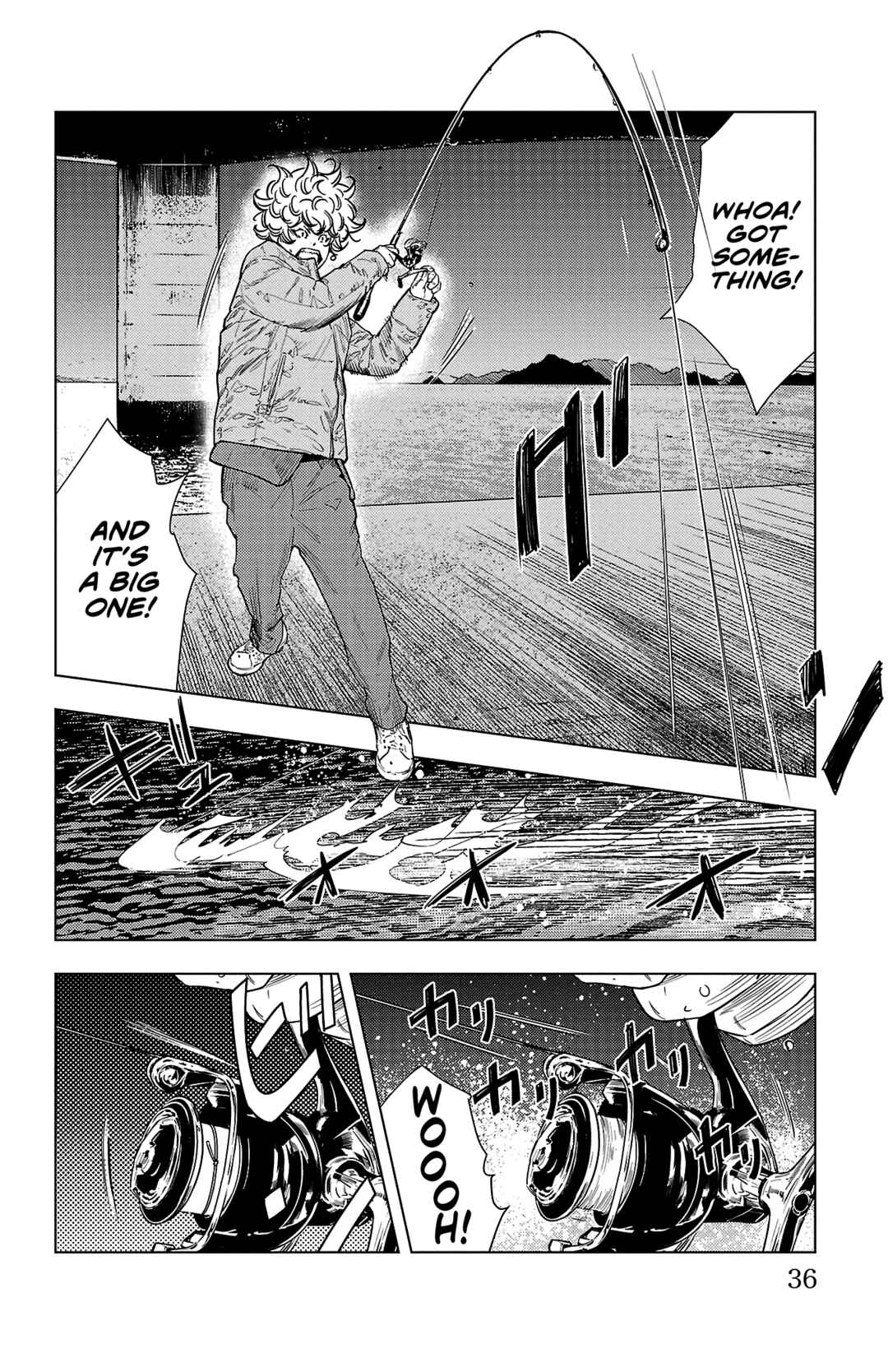 Page 36 Chapter 1 Nine Peaks