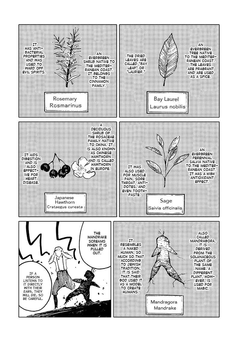 Page 2 Chapter 7 Kanwa Mahou Tsukai no Yome