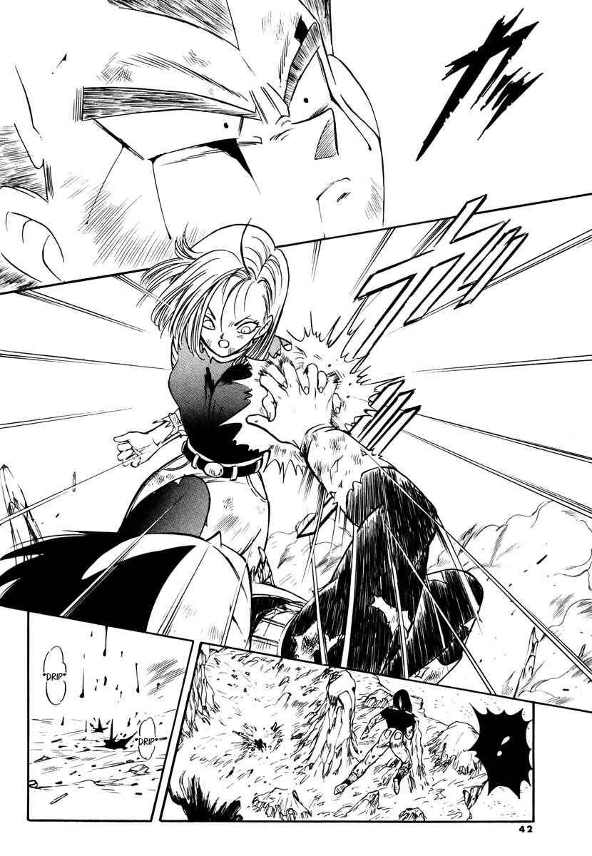 Page 38 Chapter Unknown_701f Dragon Ball - Time Limit (Doujinshi)