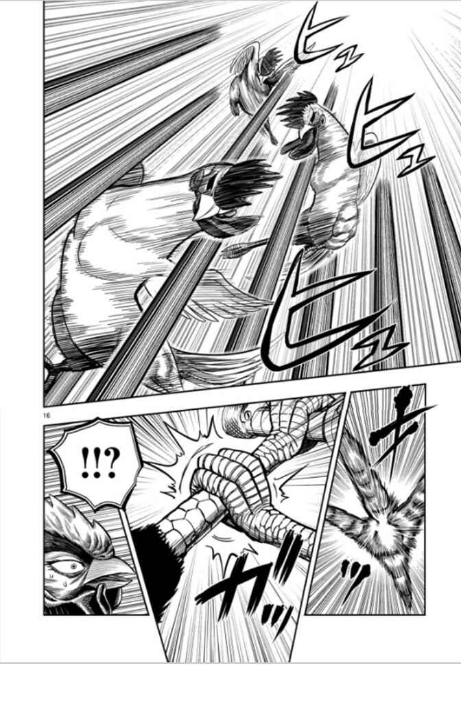 Page 16 Chapter 7 Rooster Fighter