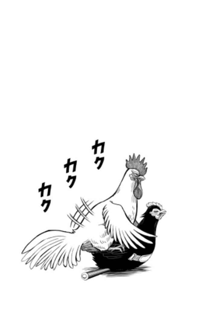Page 20 Chapter 7 Rooster Fighter