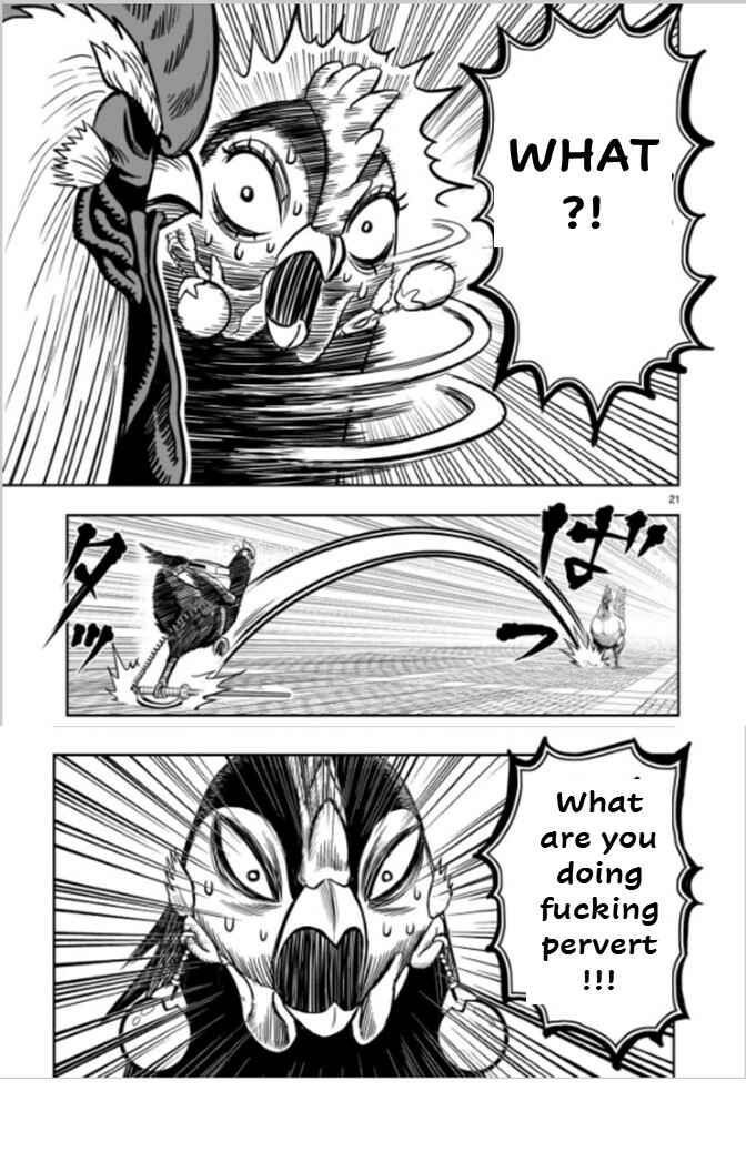 Page 21 Chapter 7 Rooster Fighter