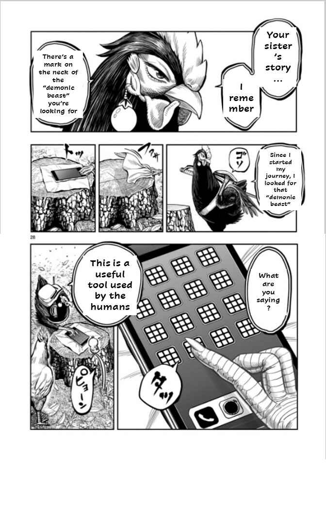 Page 28 Chapter 7 Rooster Fighter