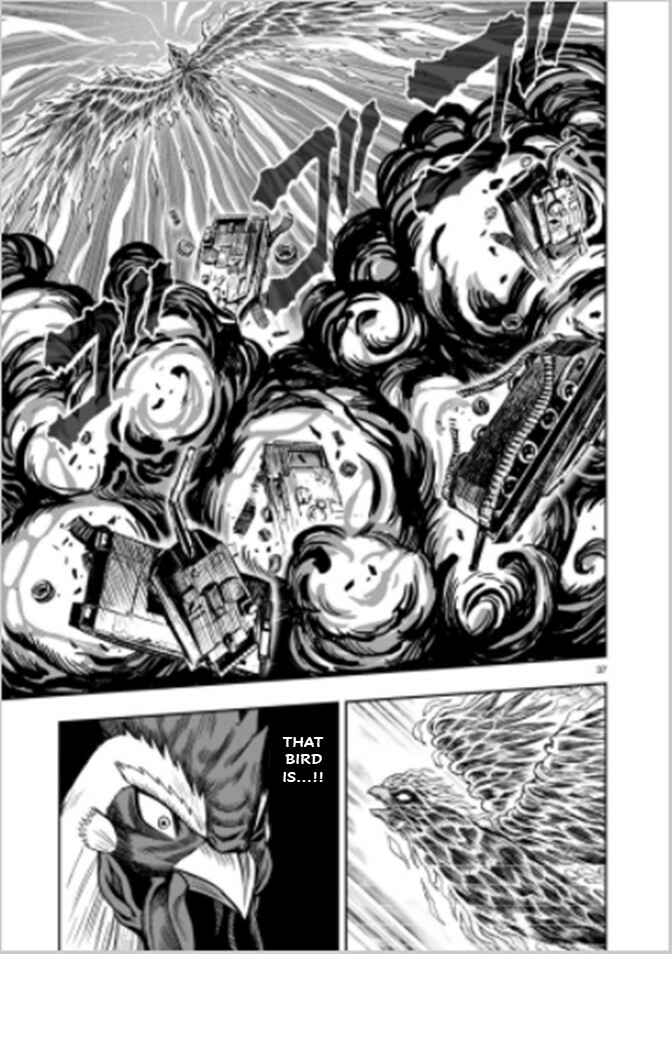 Page 36 Chapter 7 Rooster Fighter