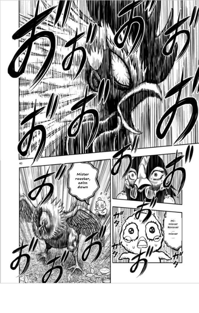 Page 39 Chapter 7 Rooster Fighter