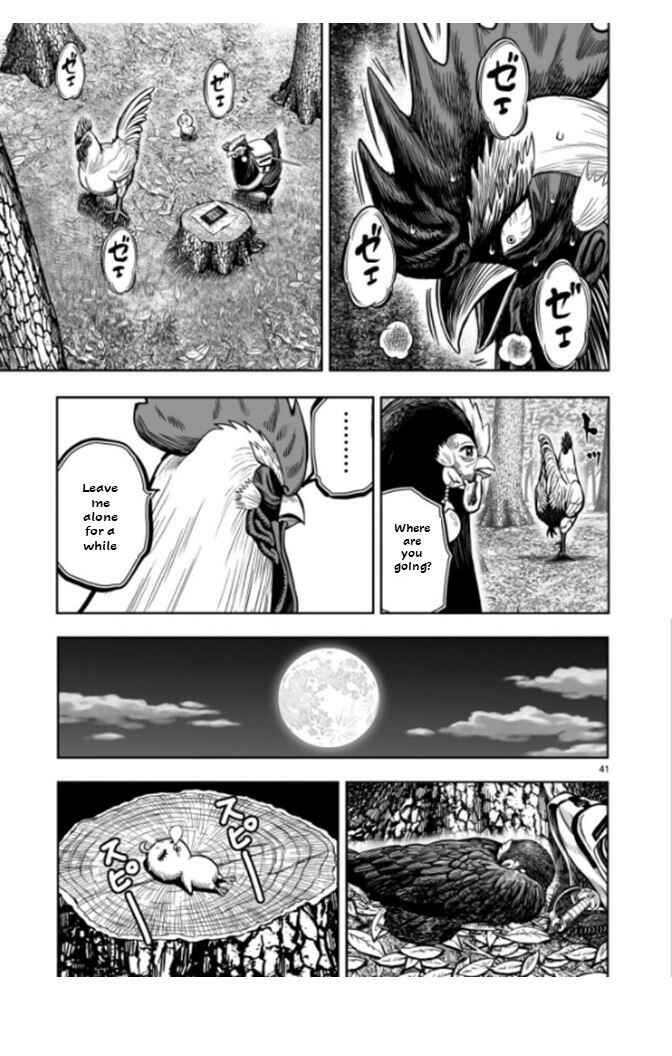 Page 40 Chapter 7 Rooster Fighter