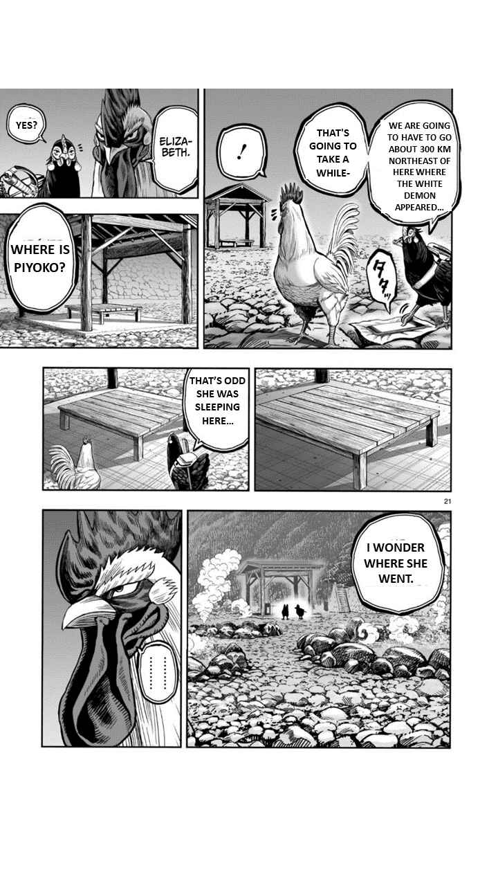 Page 21 Chapter 8 Rooster Fighter