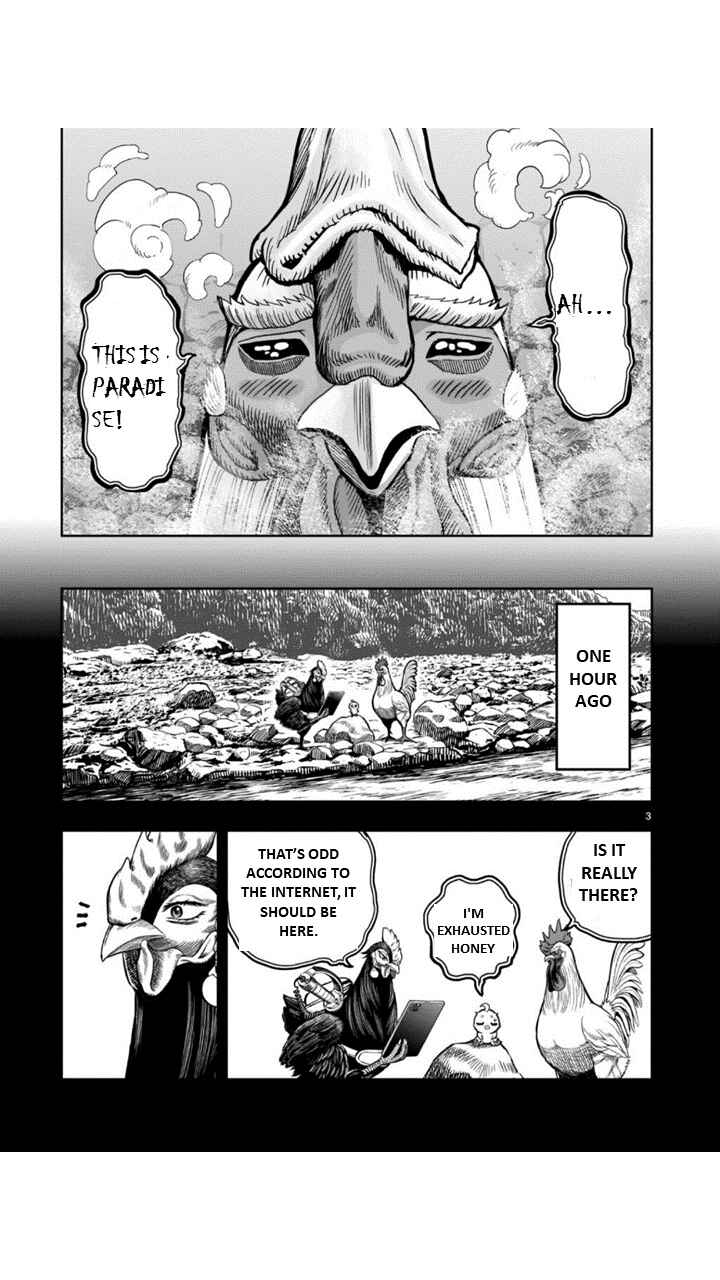 Page 3 Chapter 8 Rooster Fighter