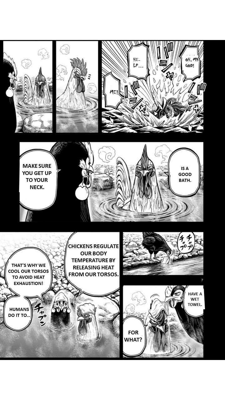 Page 7 Chapter 8 Rooster Fighter