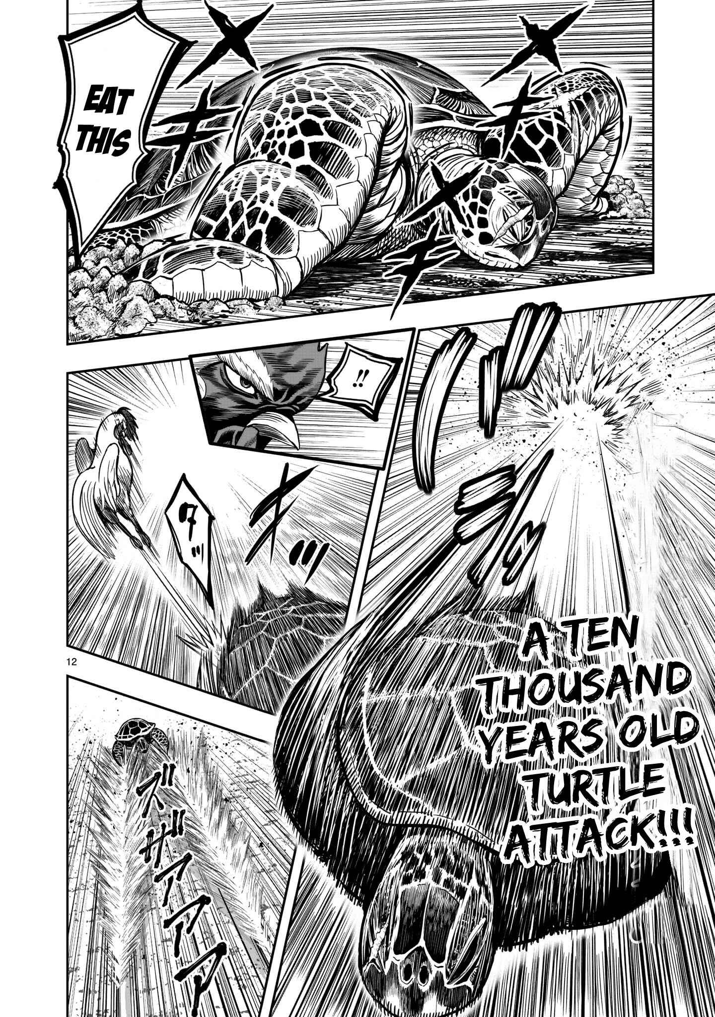 Page 13 Chapter 4 Rooster Fighter