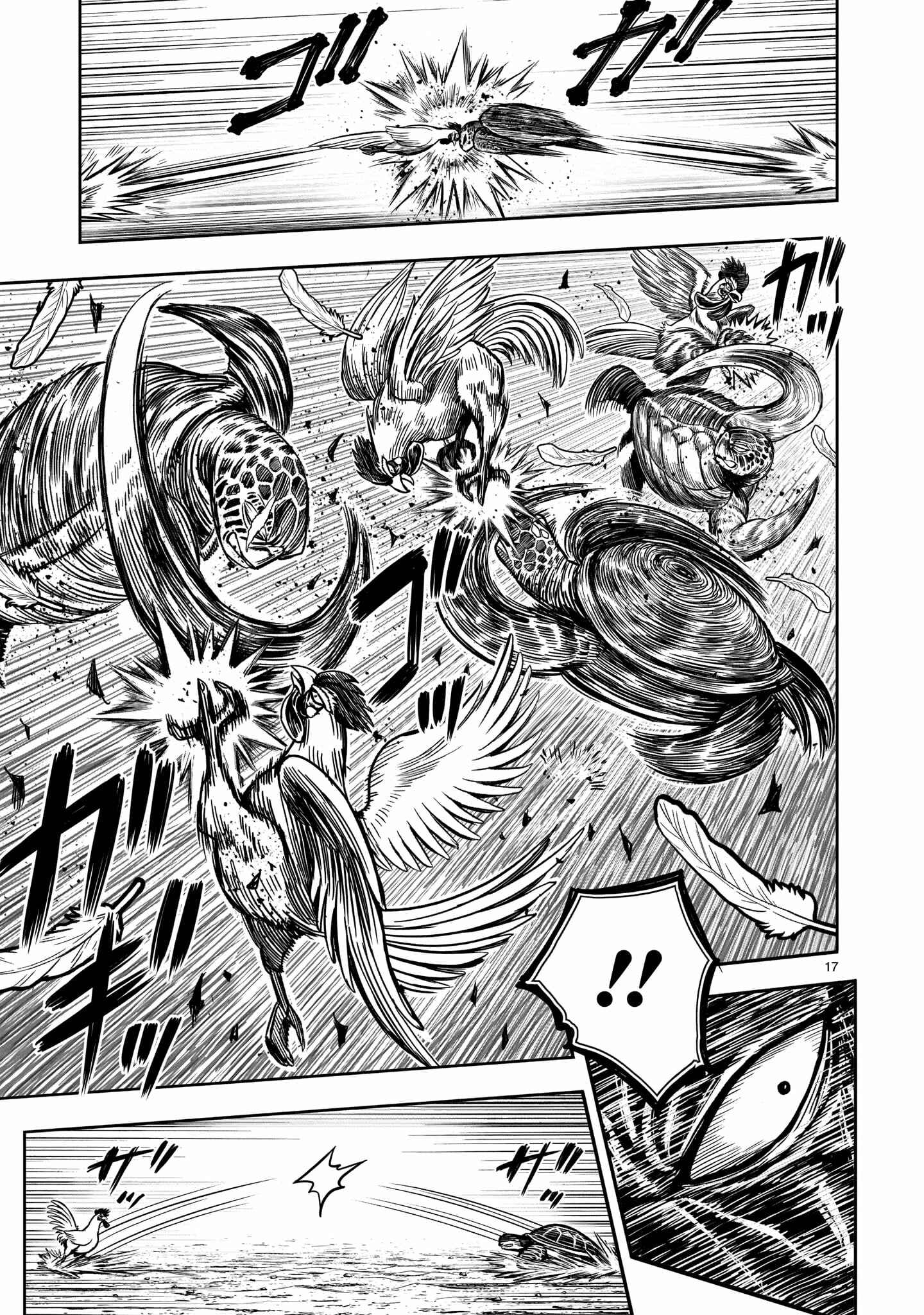 Page 18 Chapter 4 Rooster Fighter