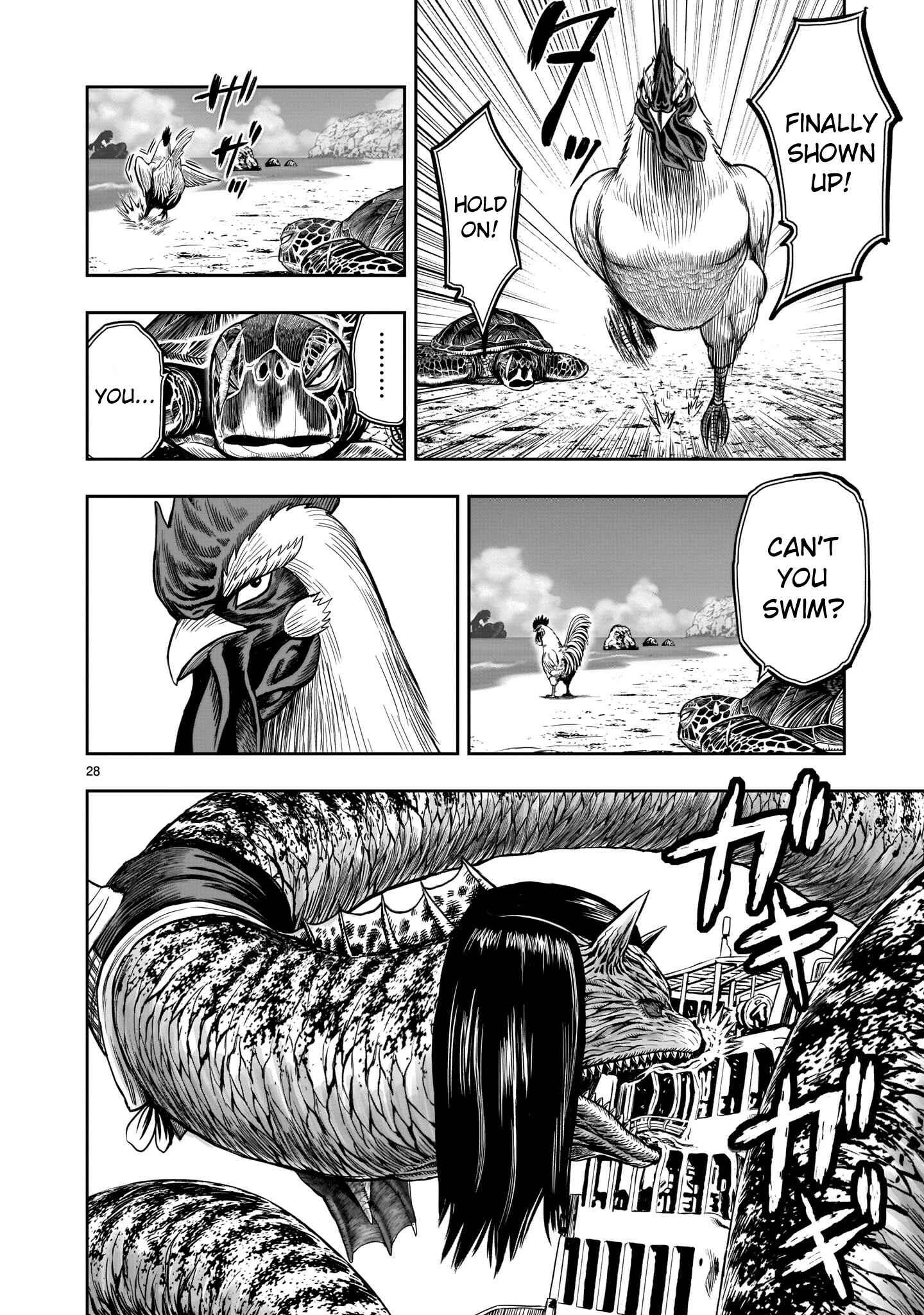Page 28 Chapter 4 Rooster Fighter