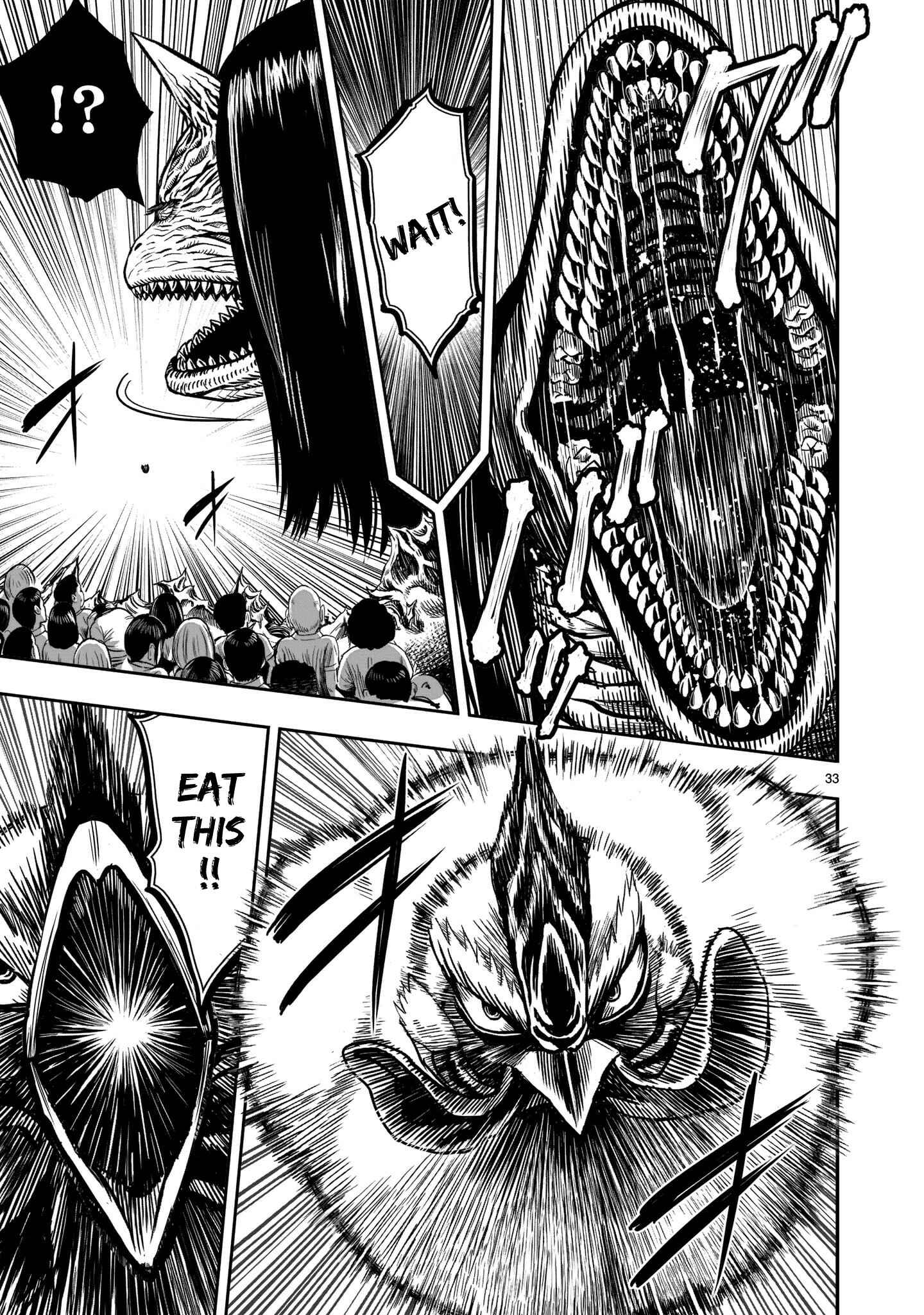 Page 33 Chapter 4 Rooster Fighter