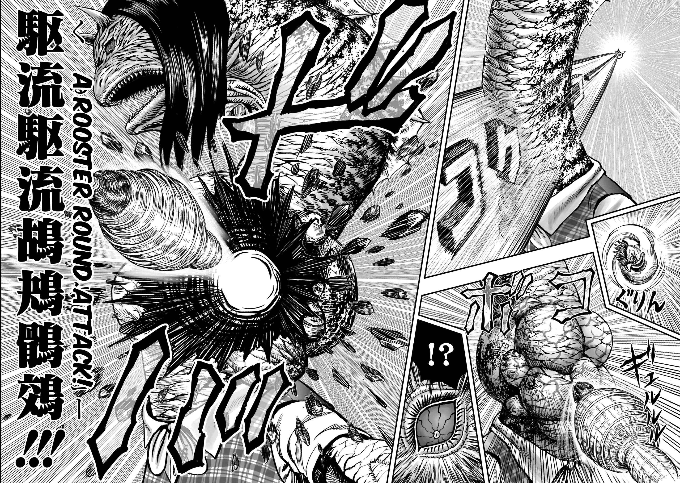 Page 34 Chapter 4 Rooster Fighter