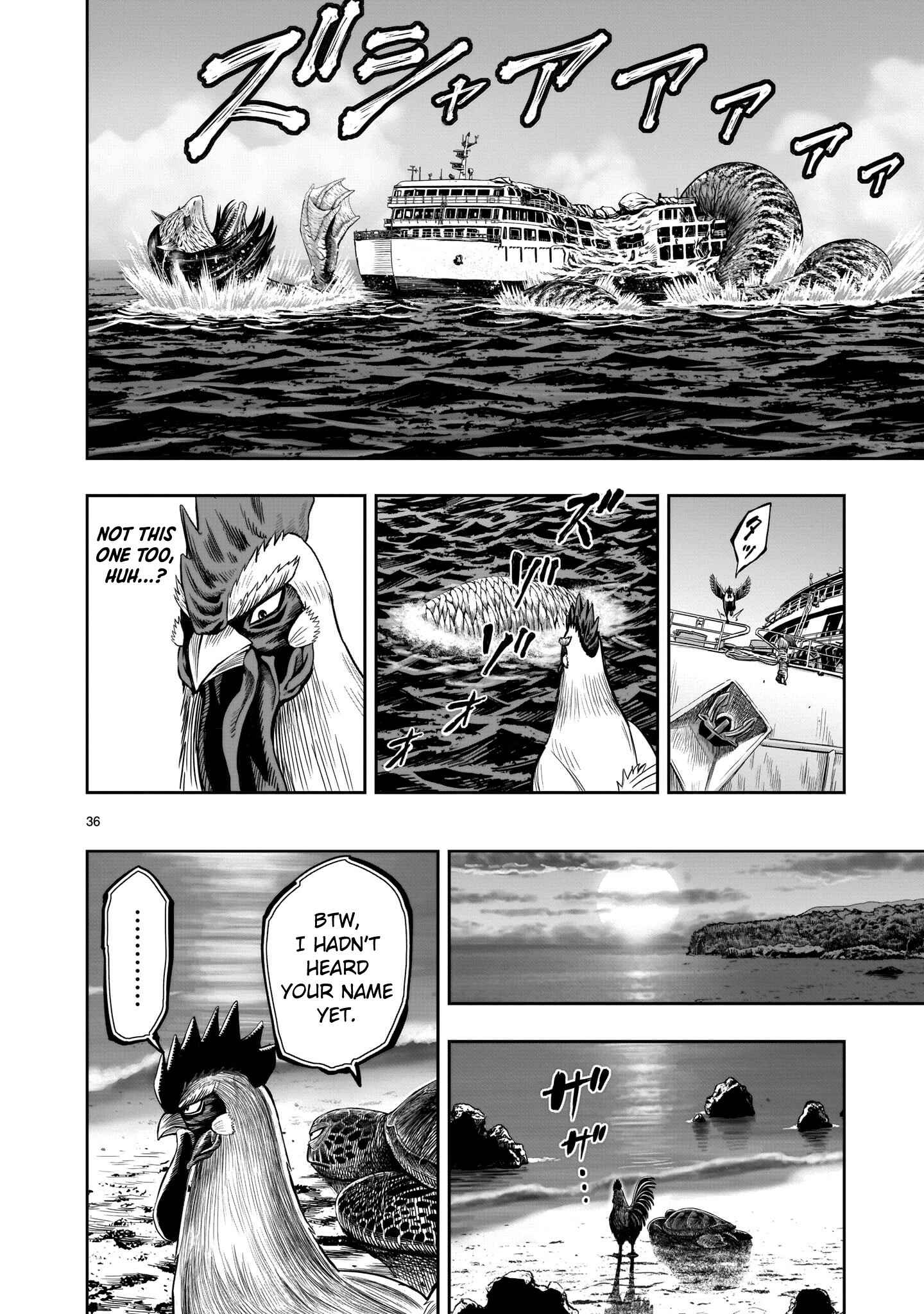 Page 35 Chapter 4 Rooster Fighter