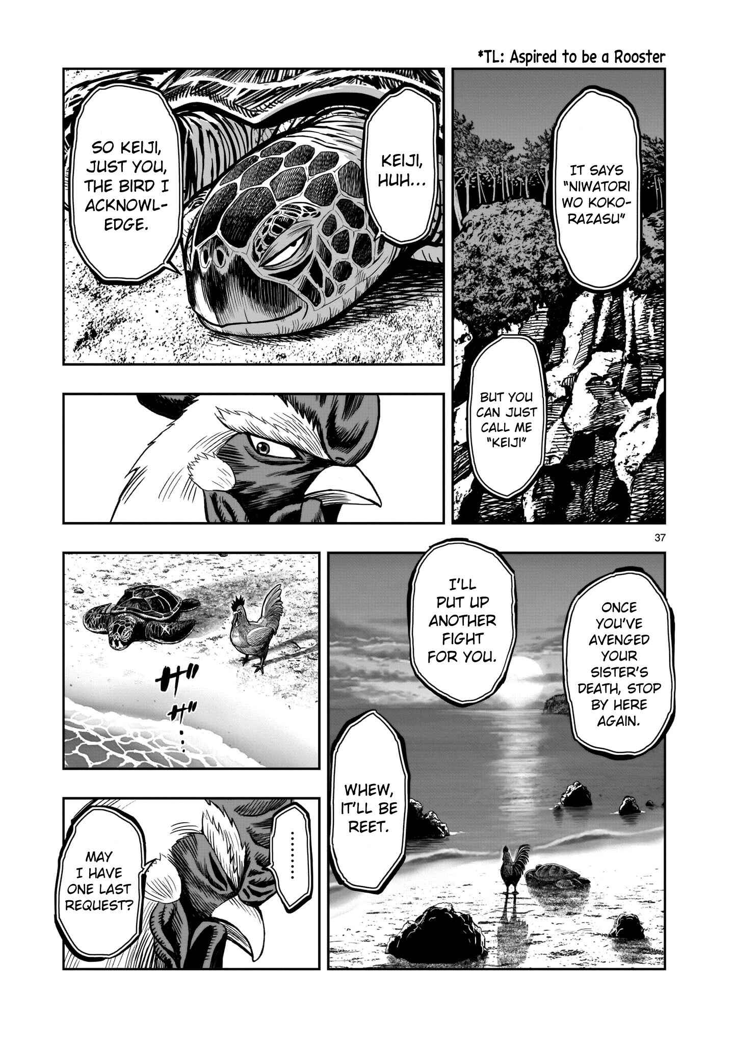 Page 36 Chapter 4 Rooster Fighter