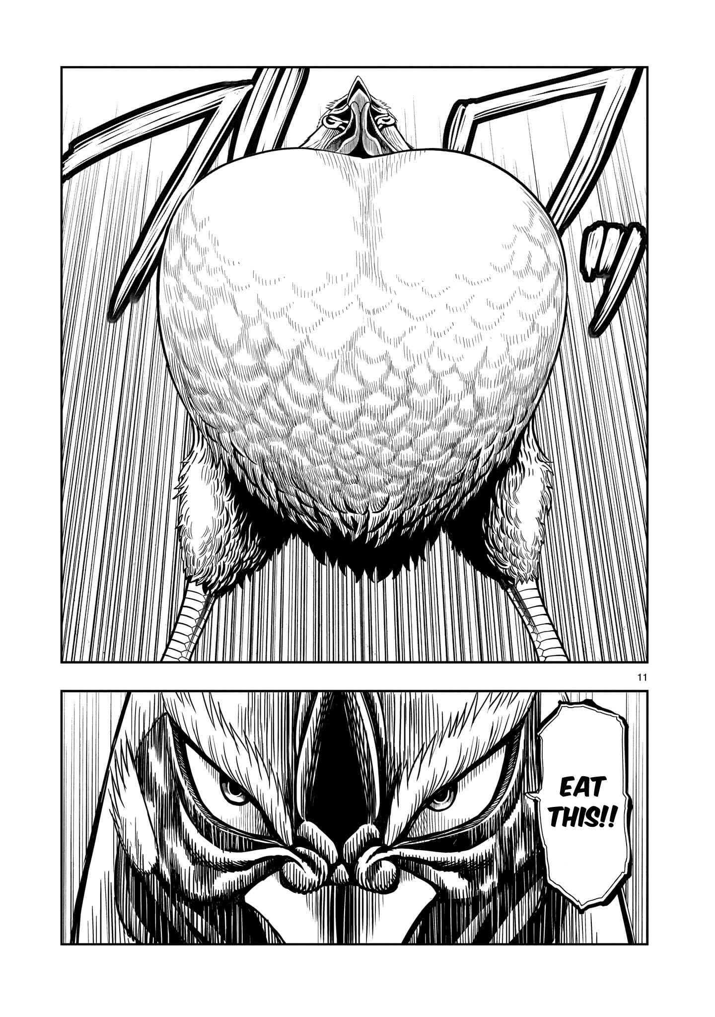 Page 13 Chapter 2 Rooster Fighter