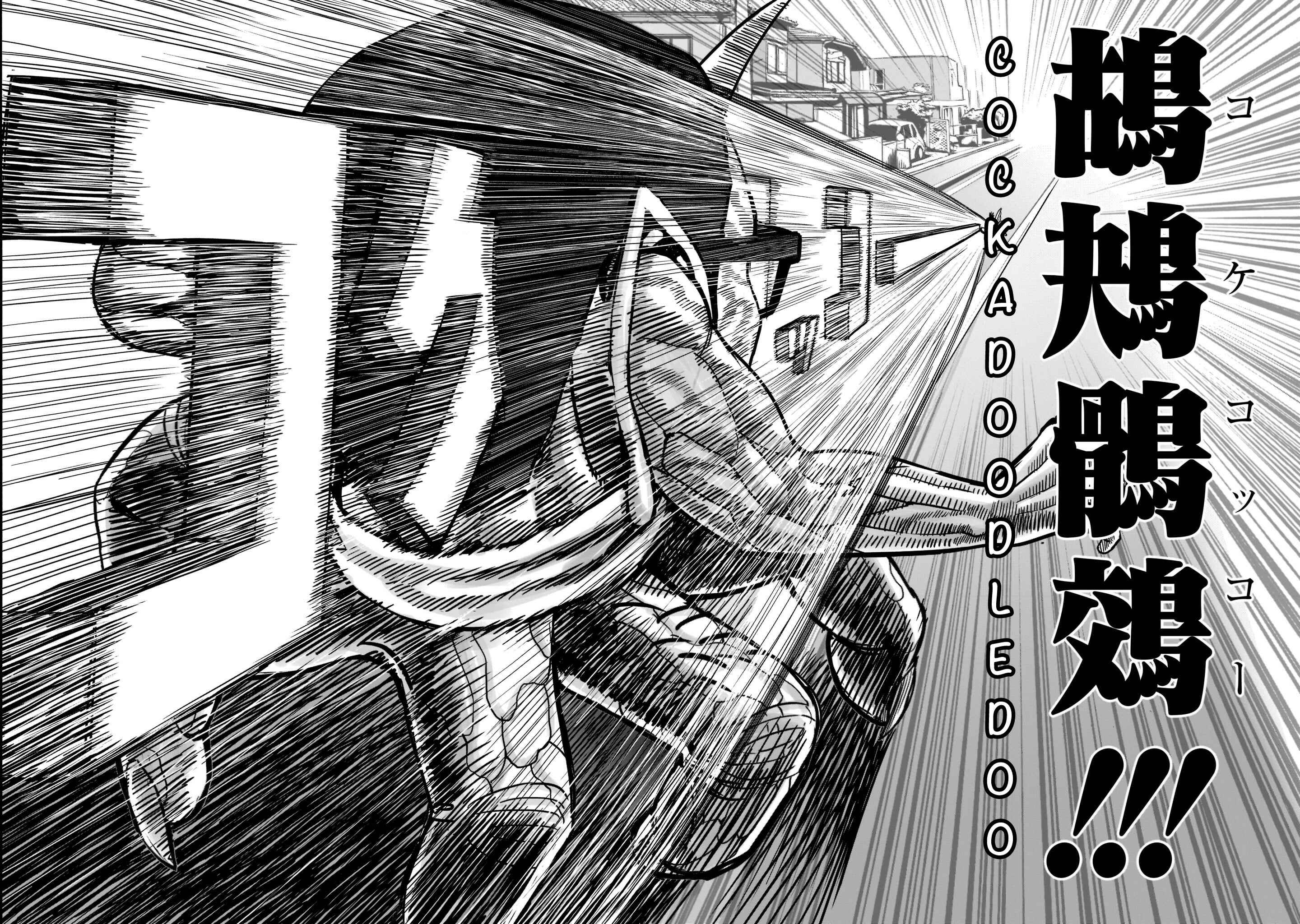 Page 14 Chapter 2 Rooster Fighter