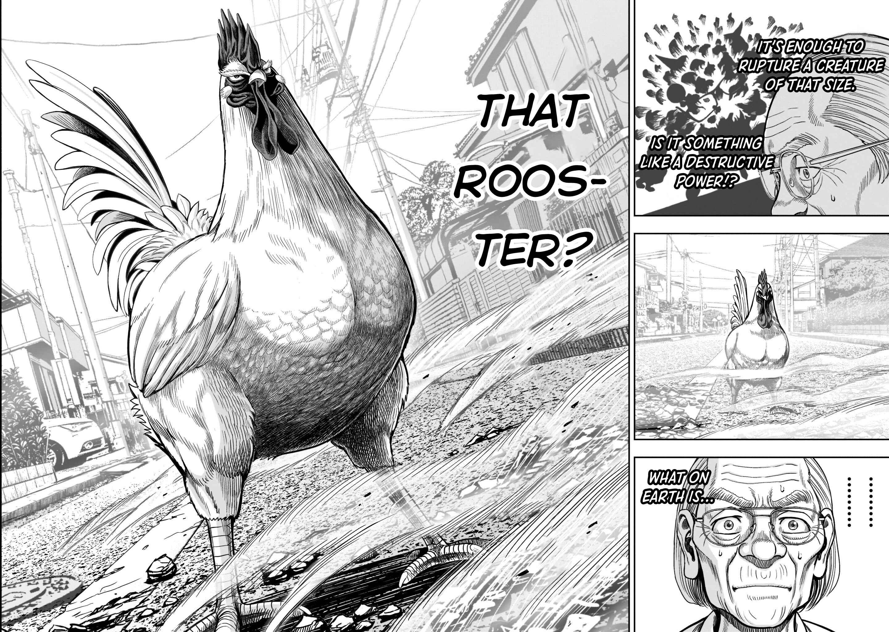Page 20 Chapter 2 Rooster Fighter