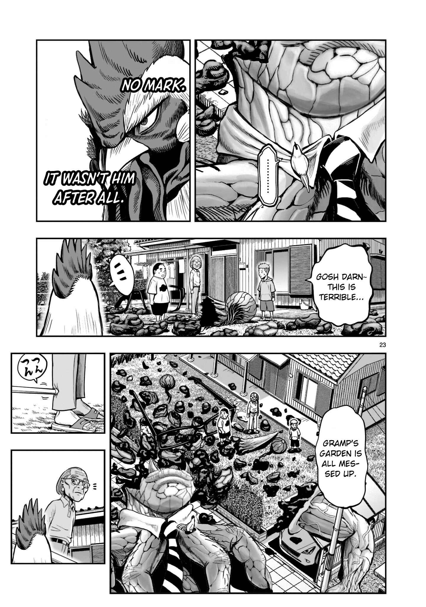 Page 22 Chapter 2 Rooster Fighter