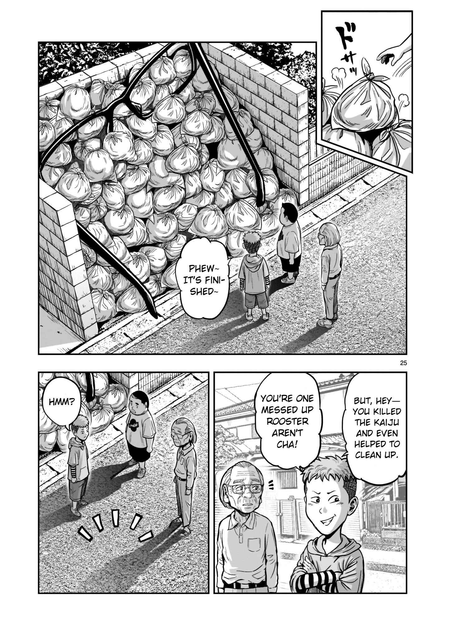 Page 24 Chapter 2 Rooster Fighter