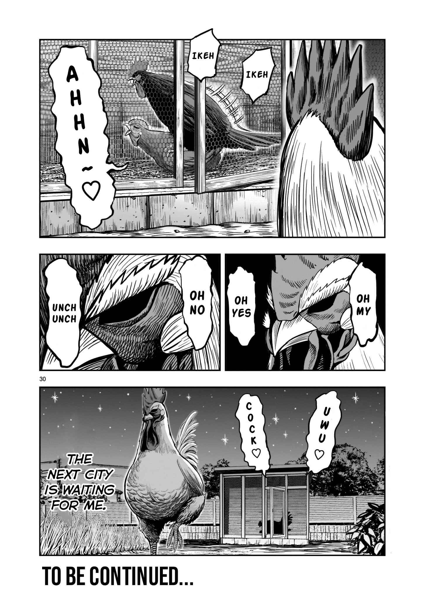 Page 29 Chapter 2 Rooster Fighter