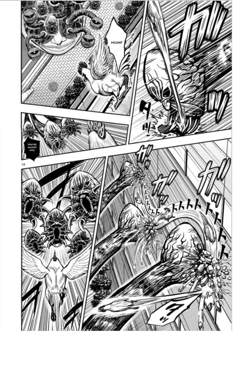 Page 14 Chapter 6 Rooster Fighter