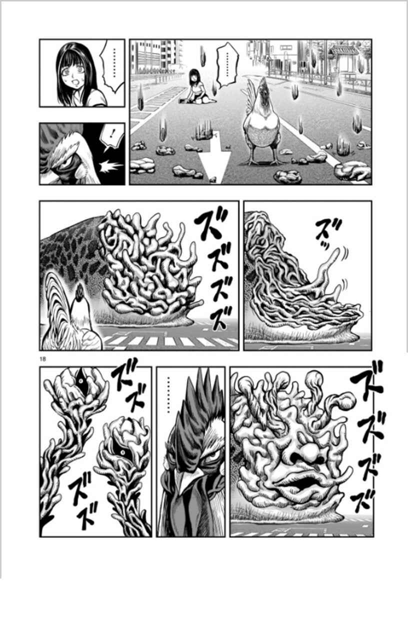 Page 18 Chapter 6 Rooster Fighter