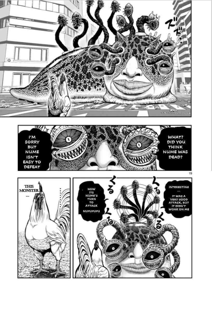 Page 19 Chapter 6 Rooster Fighter